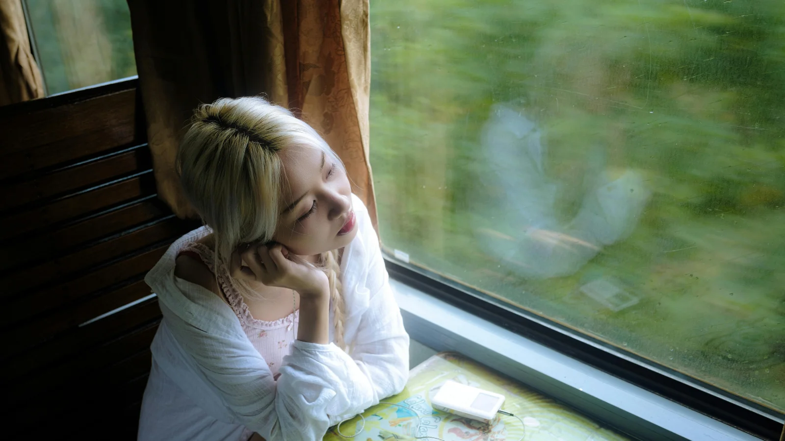 Countryside view from a train window