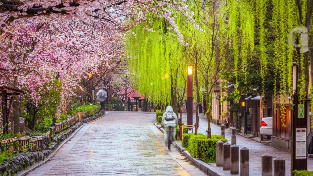 Spring in Kyoto, Japan 