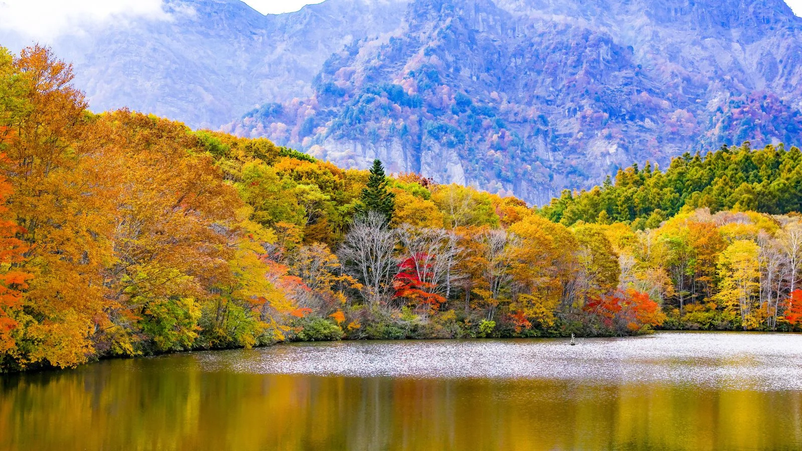 Autumn in Togakushi, Japan