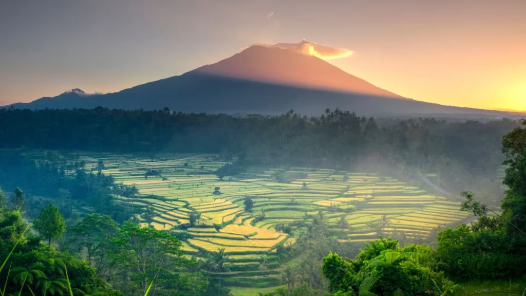 A view of rice terraces in Bali