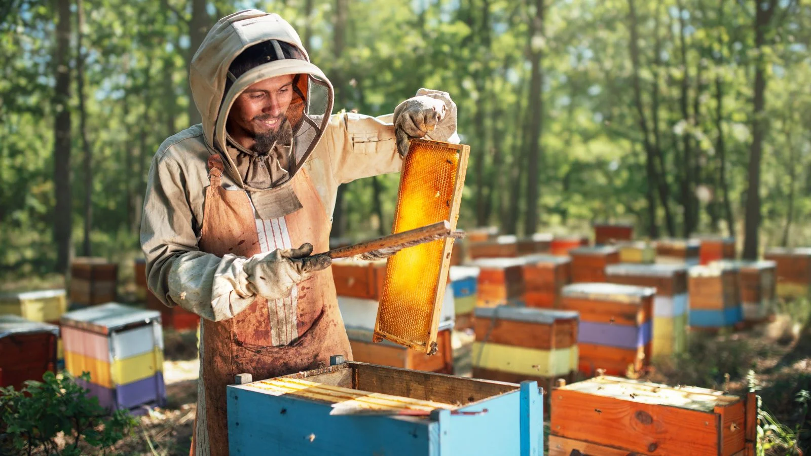 Bruny Island Honey Production Facility