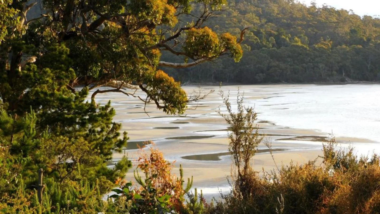 Beach view in Bruny Island, Tasmania